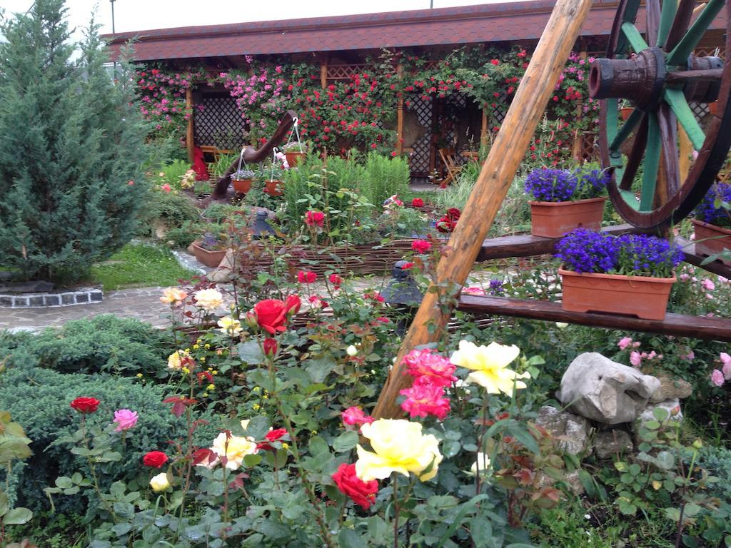 Pensiunea Crocus - Sauna & Billiard Poiana Brasov Exterior foto